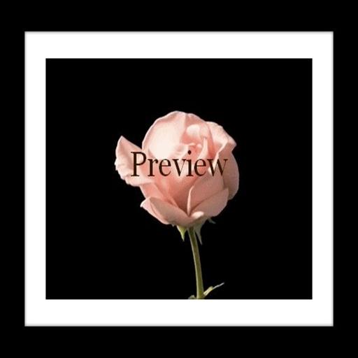 *ANIMATED ART* Rose ~Bluemoon Creations Gallery~