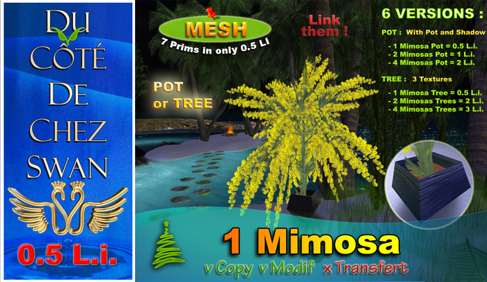 Mimosas (Mesh only 0.5 L.i.)