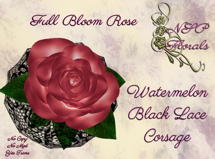 NSP Fullbloom Rose Corsage Black Current W Lace
