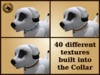 Vkc fir puppy marketplace advert 06
