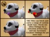 Vkc fir puppy marketplace advert 07