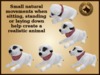 Vkc fir puppy marketplace advert 08