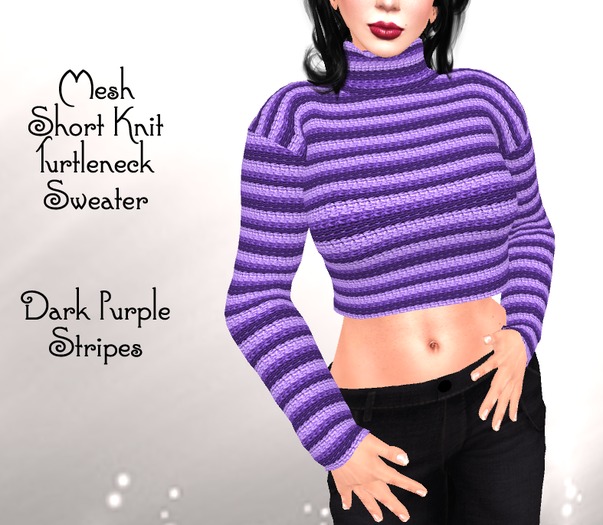 Mesh Short Turtleneck Sweater DEMO