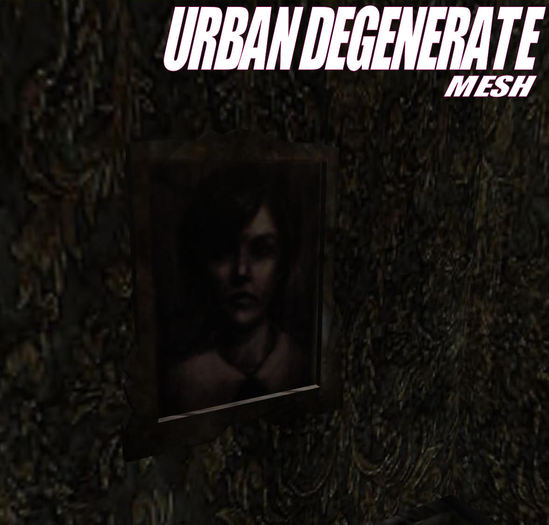 PICTURE FRAME - SILENT HILL