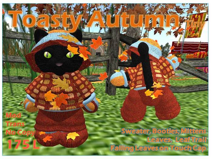 Toasty Autumn Tiny Boy Box