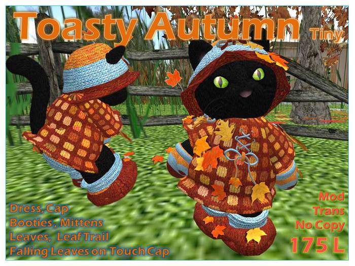 Toasty Autumn Tiny Girl Box