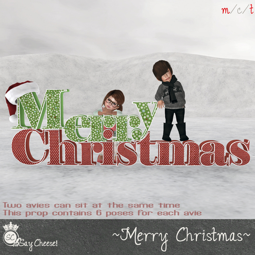 Say Cheese! ~Merry Christmas~