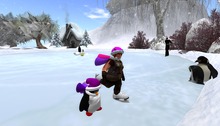 Wingsong Dwarfin AO HUD - Skating Box