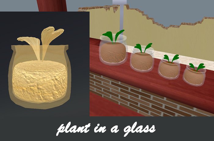 *Diesel Magic* plant in a glass sculpted maps