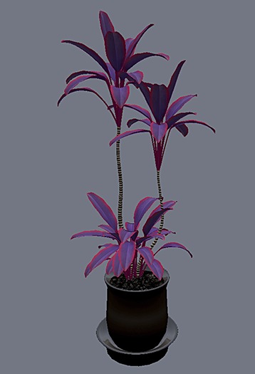 Plants Mesh - Collection