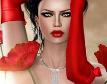 SuperShape Special Edition Miss v Spain '14