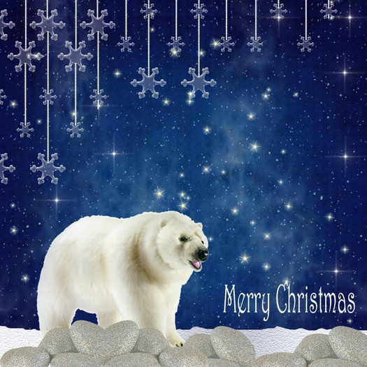 xmas 21