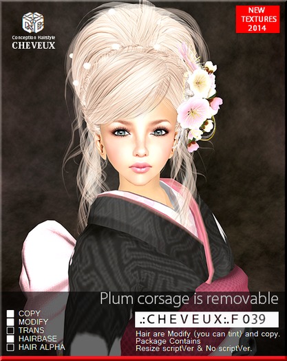 .:CHEVEUX:.F039 BLACKS HAIR SET