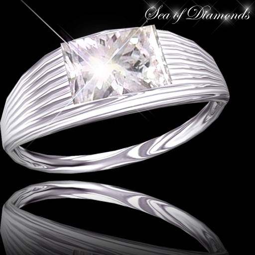 Ring - Regal Simplicity Platinum Ring (box)