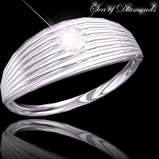 Ring - Regal Simplicity Platinum Silver 2 Ring (box)