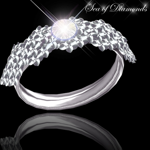 Ring - Platinum Silver Enchanted Ring (box)