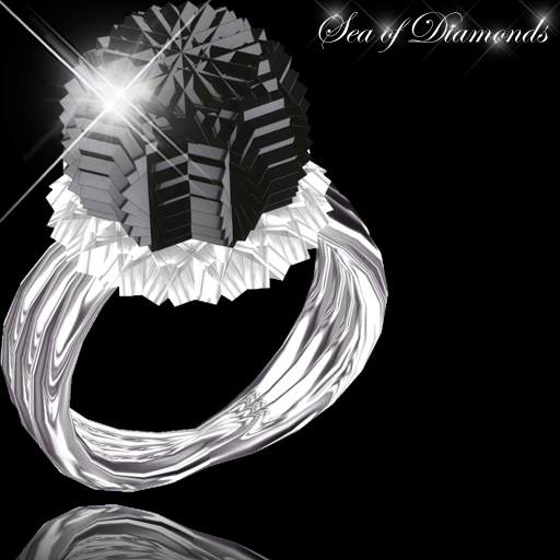 Ring - Eccentric Black Onyx Women's Ring (box)
