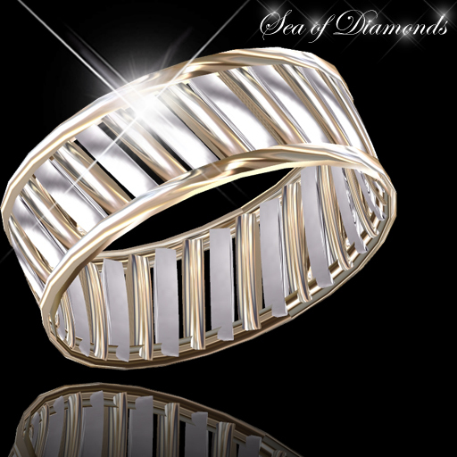 Ring (male) - Masculinity Silver & Gold Mens Ring (box)