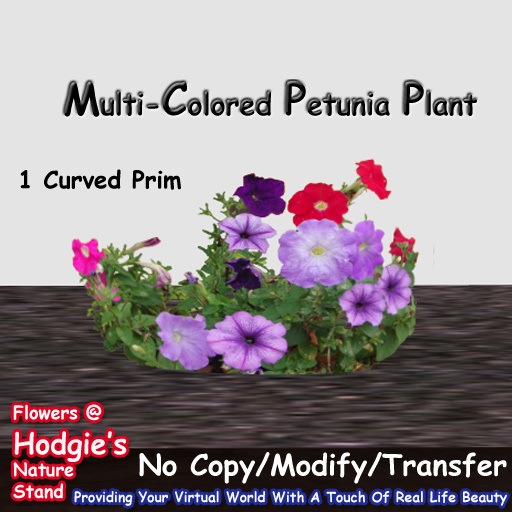 Hodgie's Flowers & Plants  --  Petunias (Multi Colored Petunias) (1 curved  Prim)