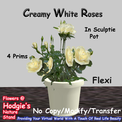 Hodgie's Flowers & Plants  --  Roses (Creamy White) In Cream Sculptie Pot (Flexi)