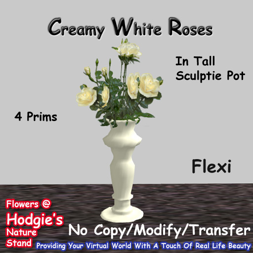 Hodgie's Flowers & Plants  --  Roses (Creamy White)Flexi In Tall Sculpty Vase 