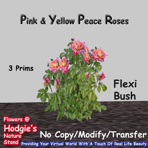 Hodgie's Flowers & Plants  --  Peace Roses  Pink With Yellow Flexi Plant