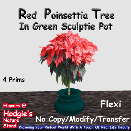 Hodgie's Flowers & Plants  --  Poinsettia (Tree) In Green Sculptie Pot Flexi Christmas