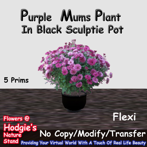 Hodgie's Flowers & Plants  --  Purple Mums In a Sculptie Pot (Flexi)