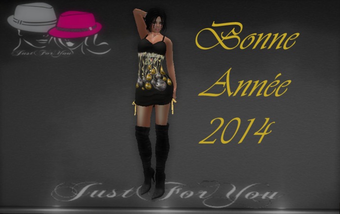 bonne annee 2014