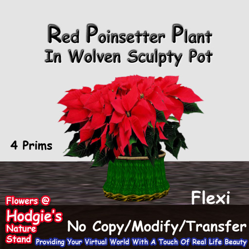 Hodgie's Flowers & Plants  --  Christmas Poinsettia  (Red) in a Green Wolven Sculptie Pot  (Flexi Pl