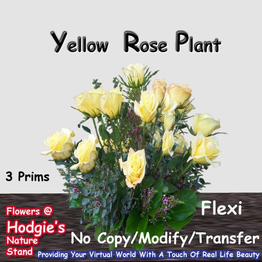Hodgie's Flowers & Plants  --  Beautiful Yellow Rose Flexi Plant