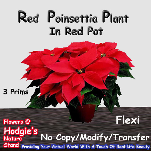 Hodgie's Flowers & Plants  --  Christmas Poinsettia (Red) Flexi Plant In Pot Holidays