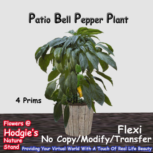 Hodgie's Flowers & Plants  --  Patio Pepper Plant In A Pot  (Flexi) Vegetable