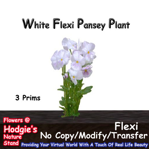Hodgie's Flowers & Plants  --  Spring Pansies  (White) Flexi Plant 