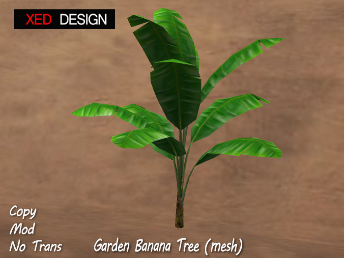 XD Garden Snake Plant (mesh)
