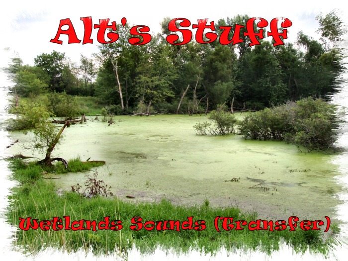 Ambient Sounds Wetland (Transfer) 