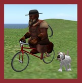 Wingsong Dwarfin Bicycle Box