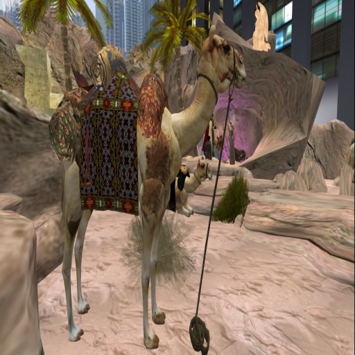 Nativity collection Cammello legato BOX