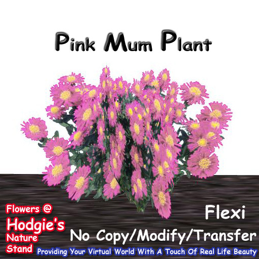 Hodgie's Flowers & Plants  --  Mums ( Pink) Flexi Plant 