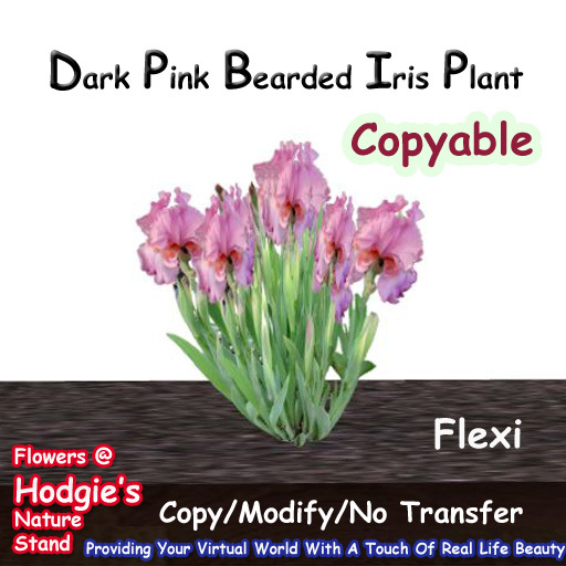 Hodgie's Flowers & Plants  -- Iris (Bearded)Dark Pink Flexi Plant  (COPYABLE)