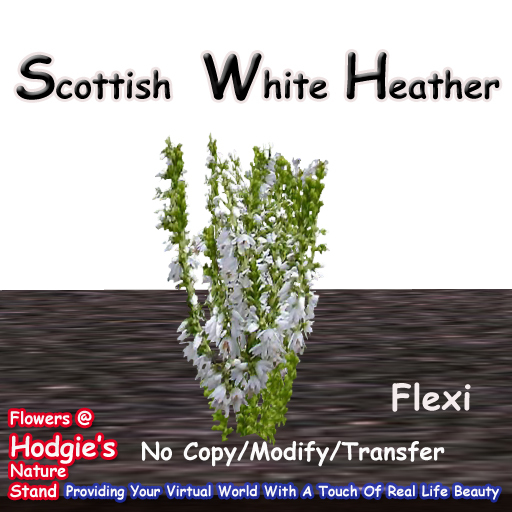 Hodgie's Flowers & Plants  --  Heather (White) Flexi Planti
