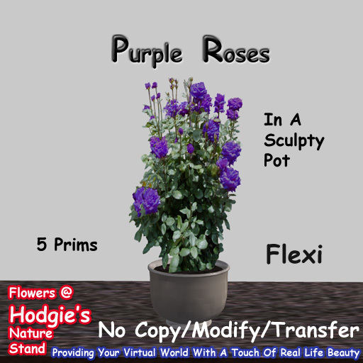 Hodgie's Flowers & Plants  --  Roses (Purple) In Sculptie Pot (Flexi)
