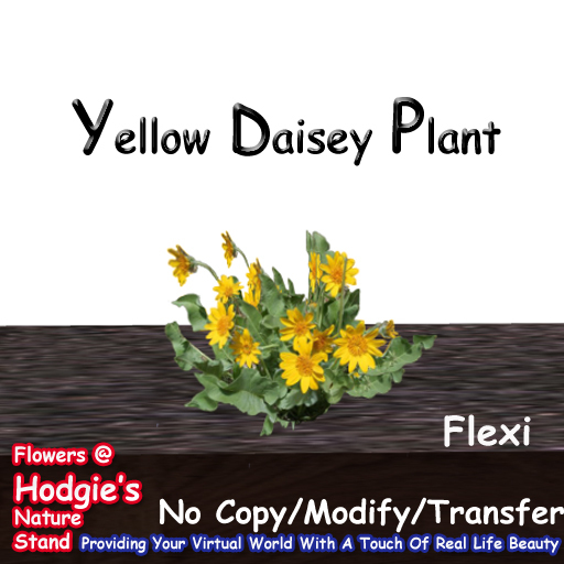 Hodgie's Flowers & Plants  --  Dasies (Yellow) Flexi Plant  