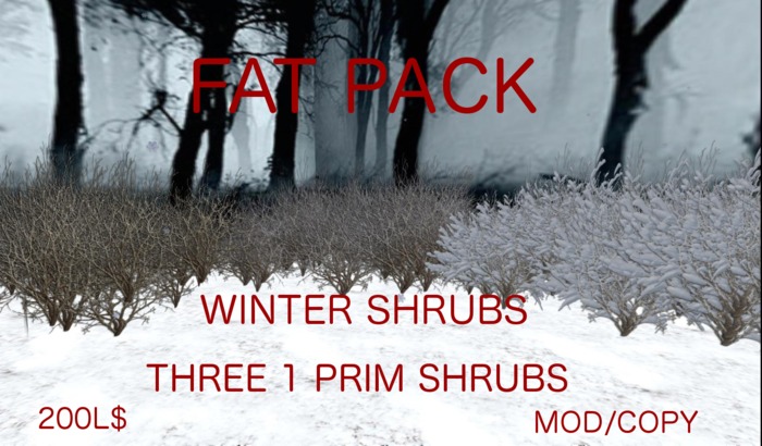 Winter Shrub FAT PACK