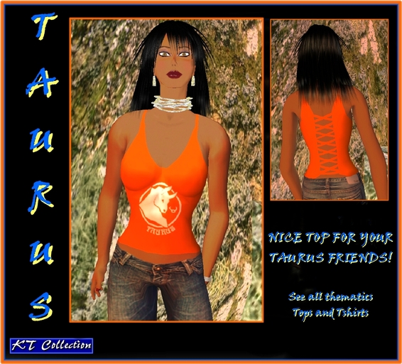 TAURUS  Top