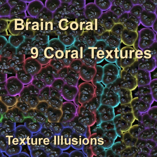Brain Coral Textures
