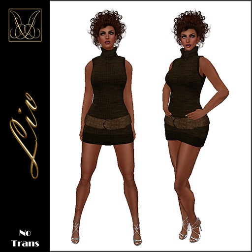 JCD Liv Green Mesh Dress (bagged)