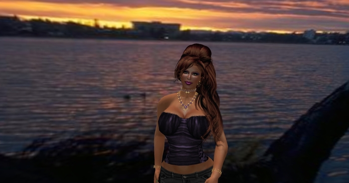 Silverado Corset Lavender