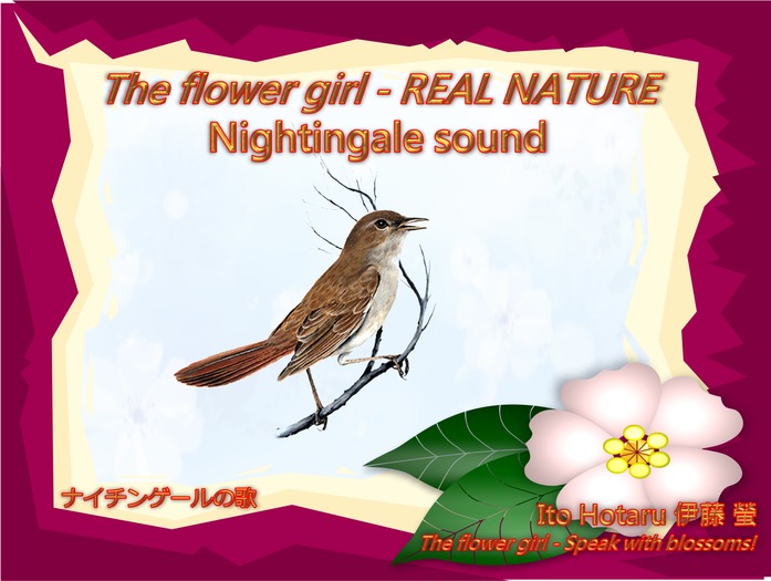 The flower girl - Nightingale