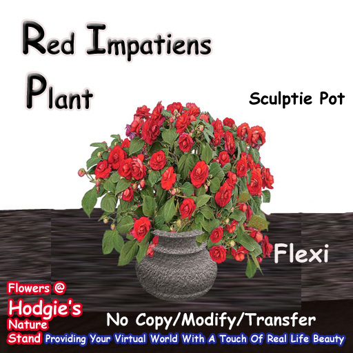 Hodgie's Flowers & Plants  --  Red Impatiens Flexi Plant In Sculptie Pot